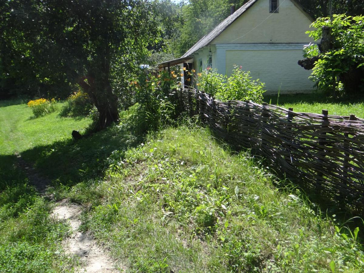 Gasthaus Maliovnytsya Dybintsy Exterior foto